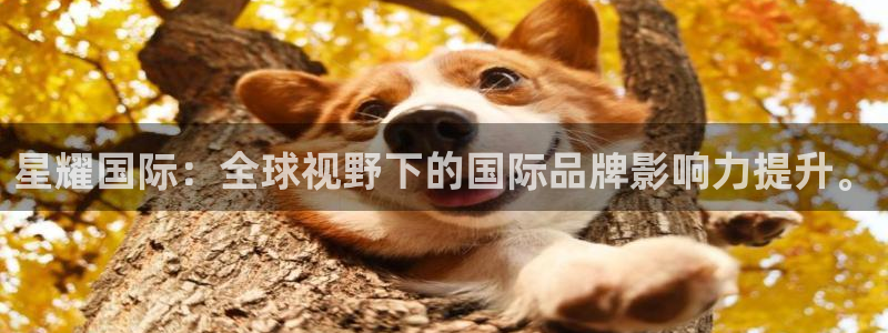澳门pg电子官网版下载
