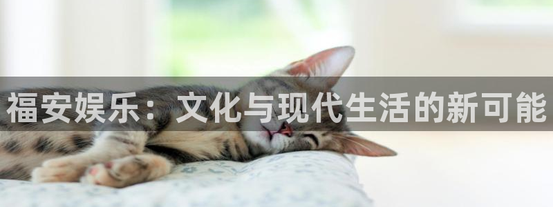 pg模拟游戏器免费