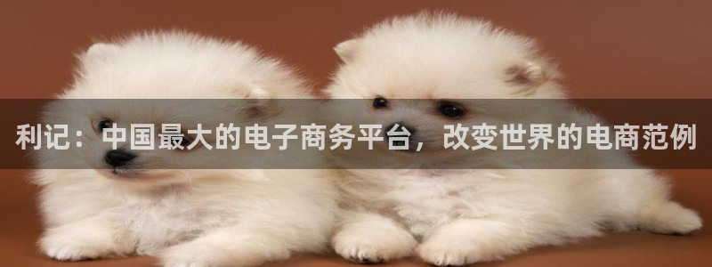 pg模拟电子电玩