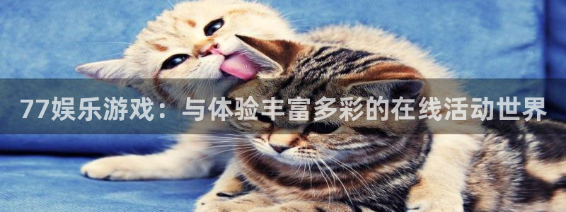 pg电子游戏入口