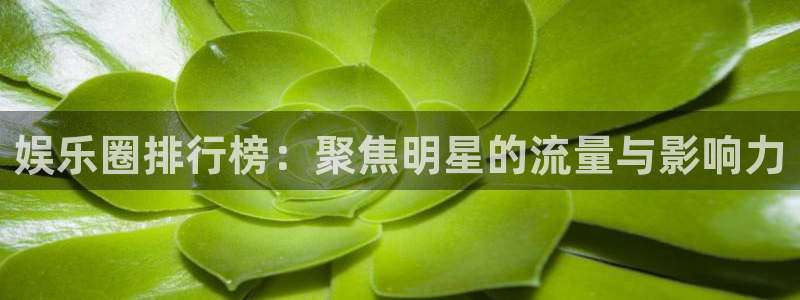 pg电子游戏网站
