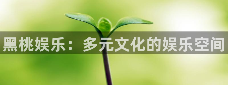 pg电子哪个容易爆大奖：黑桃娱乐：多元文化的娱乐空间