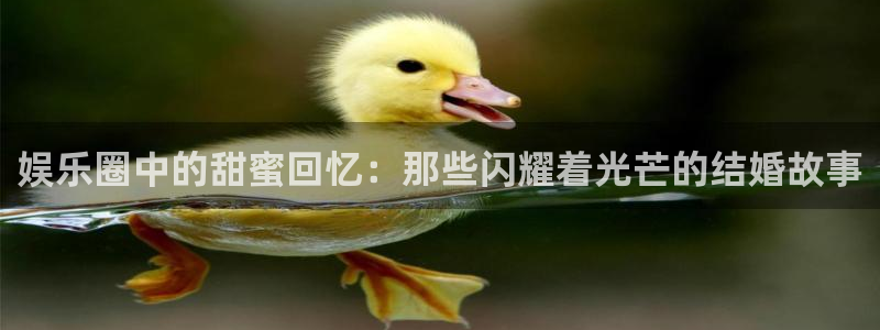 pg电子爆分技巧：娱乐圈中的甜蜜回忆：那些闪耀着光芒的结婚故事